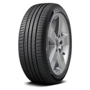 PNEU 205/55R17 95W FORCELAND VITALITY F22